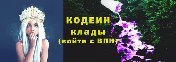 сатива Козельск