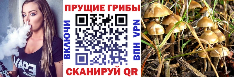 Псилоцибиновые грибы GOLDEN TEACHER  Купить  Славгород 